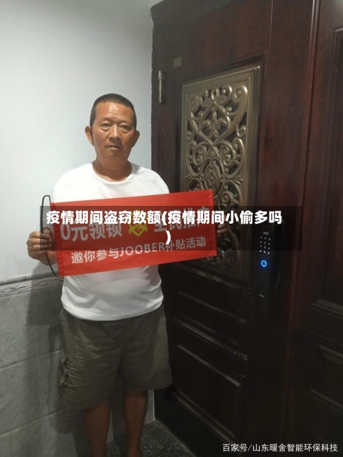 疫情期间盗窃数额(疫情期间小偷多吗)-第2张图片