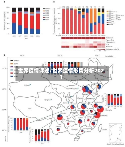 世界疫情评述/世界疫情形势分析2021