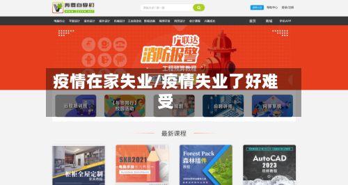 疫情在家失业/疫情失业了好难受