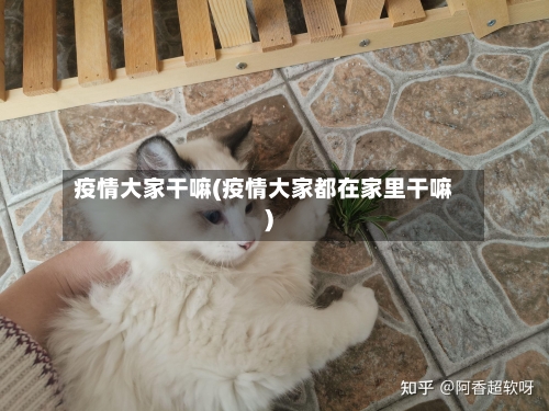 疫情大家干嘛(疫情大家都在家里干嘛)