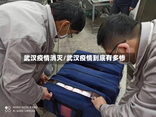 武汉疫情消灭/武汉疫情到底有多惨