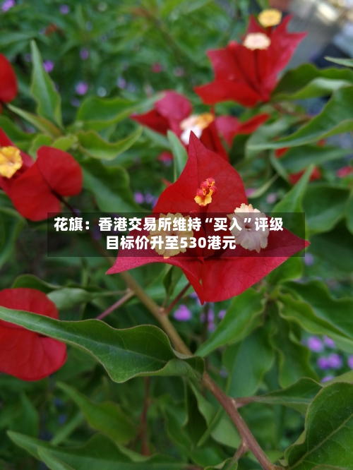 花旗：香港交易所维持“买入”评级 目标价升至530港元