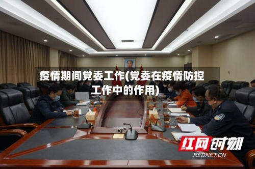 疫情期间党委工作(党委在疫情防控工作中的作用)