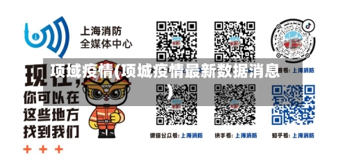项域疫情(项城疫情最新数据消息)