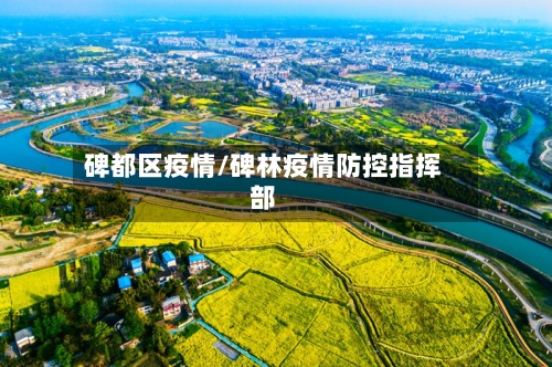 碑都区疫情/碑林疫情防控指挥部