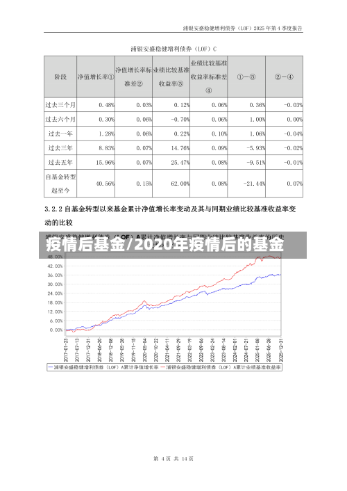 疫情后基金/2020年疫情后的基金