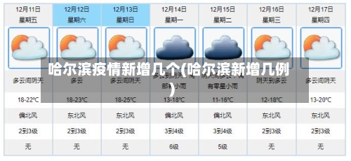 哈尔滨疫情新增几个(哈尔滨新增几例)