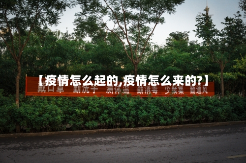【疫情怎么起的,疫情怎么来的?】
