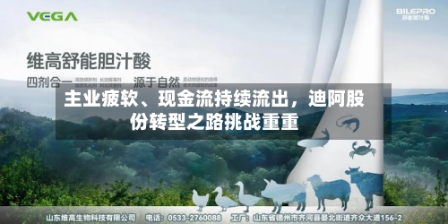 主业疲软、现金流持续流出，迪阿股份转型之路挑战重重