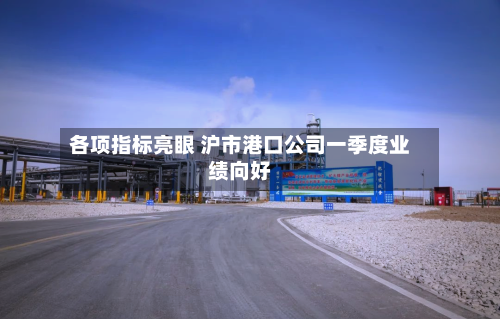 各项指标亮眼 沪市港口公司一季度业绩向好