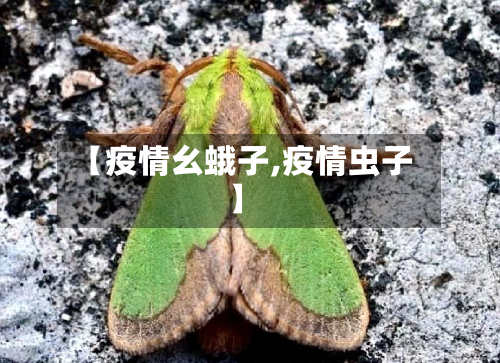 【疫情幺蛾子,疫情虫子】